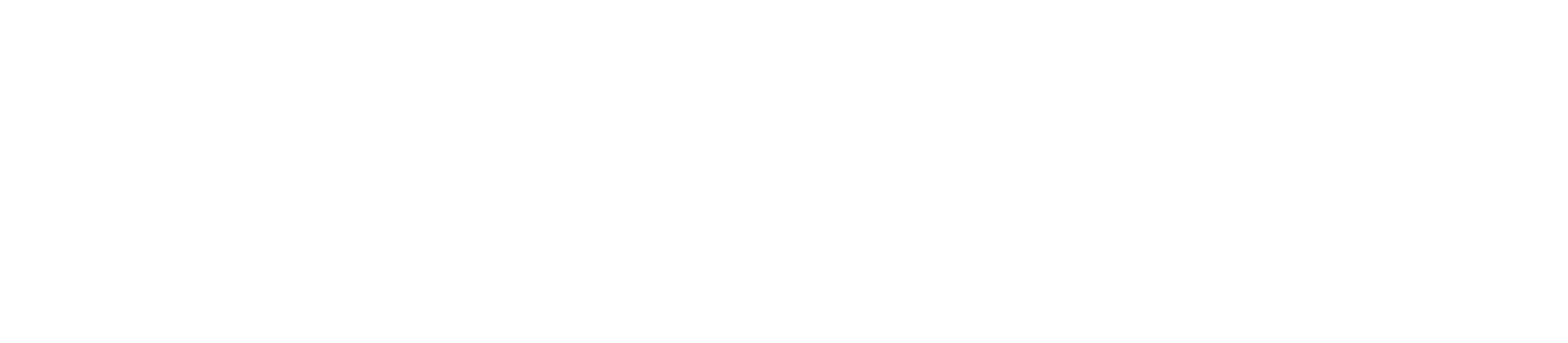 MJV consulting _Transparent